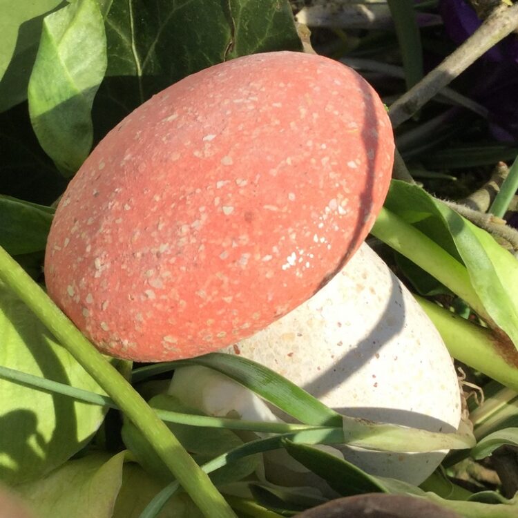 9645 - Coral Glimmer - Image 3