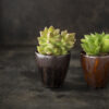 9576 - Copper Gold - Image 3